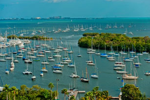 Coconut Grove on Biscayne Bay Coast