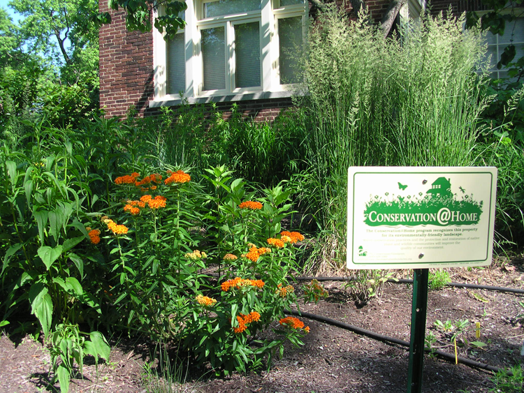 Conservation Home Yes In My Back Yard: The Conservation Foundation uses education to ...