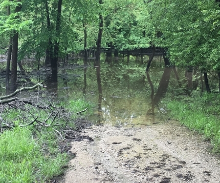 The famed Des Plaines River Trail improvements project is moving forward