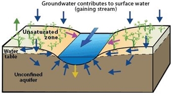 Groundwater contributes to surface water diagram