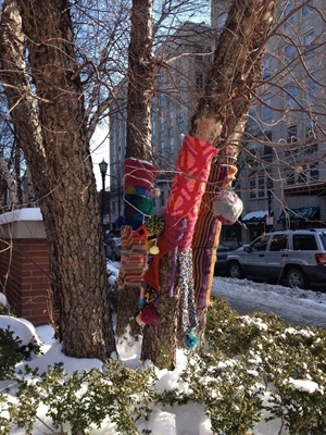 Knitting around tree in winter