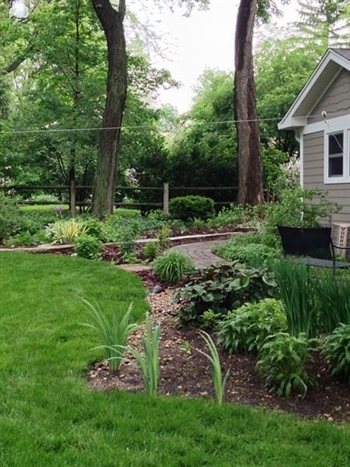 Rain garden