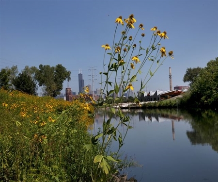 Letters: Keep Chicagoans part of the conversation for a Bubbly Creek pedestrian bridge