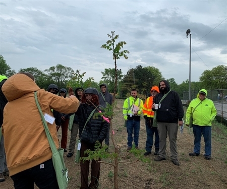 Green Stormwater Infrastructure along Our Great Rivers